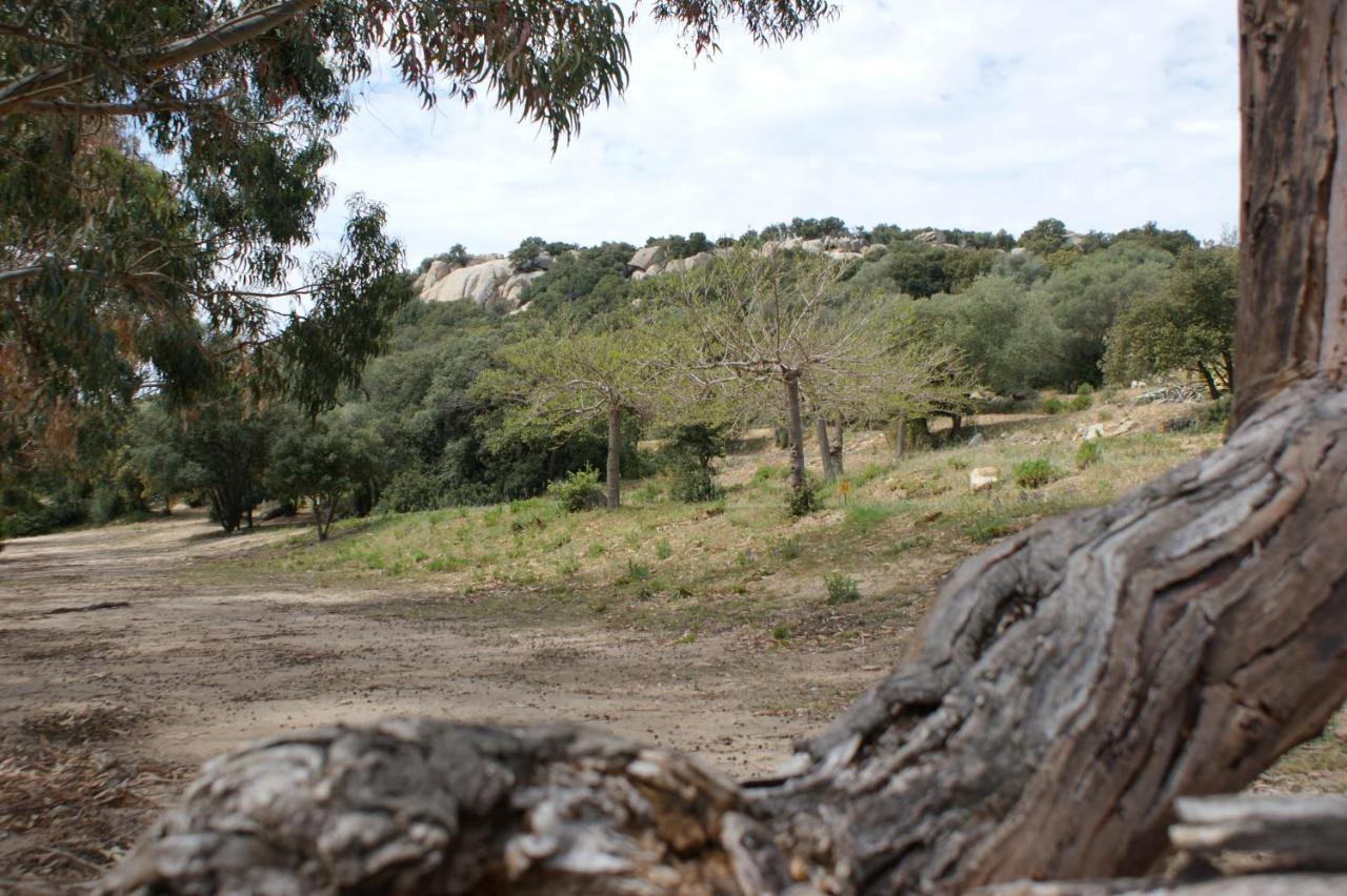 Belle Location Sur Lumio Avec Vue Remarquable Et Jardin Villa Exterior foto