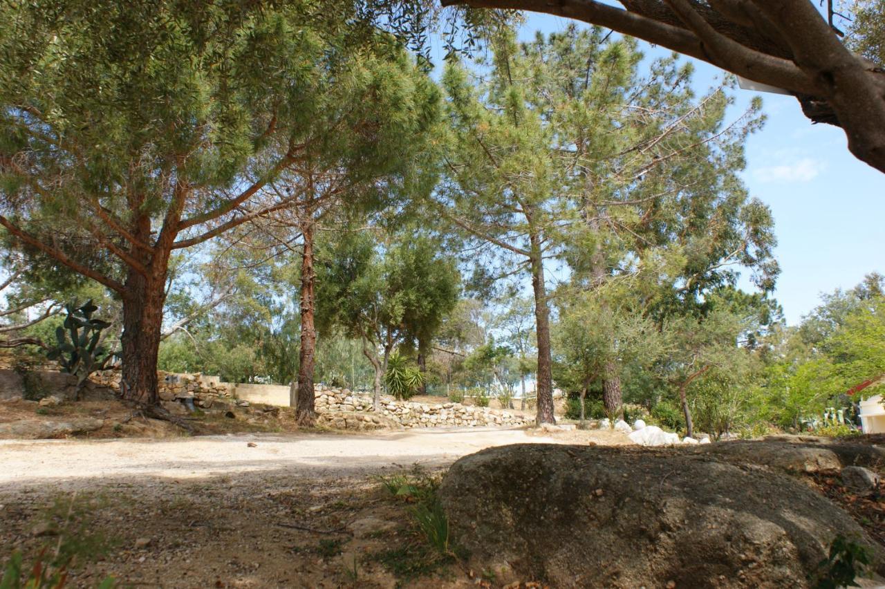 Belle Location Sur Lumio Avec Vue Remarquable Et Jardin Villa Exterior foto